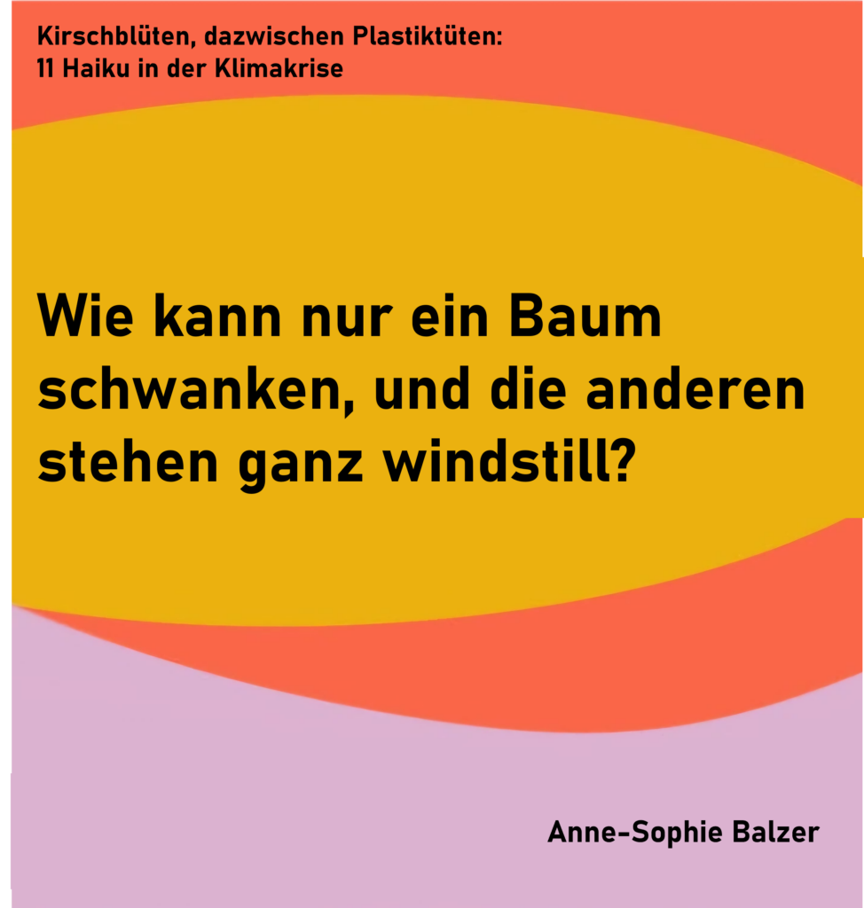 Kirschblüten, dazwischen Plastiktüten: 11 Haiku in der Klimakrise - Haiku 11
Wie kann nur ein Baum
schwanken, und die anderen
stehen ganz windstill?
von Anne-Sophie Balzer
