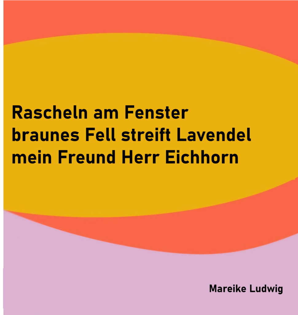 Rascheln am Fenster
braunes Fell streift Lavendel
mein Freund Herr Eichhorn