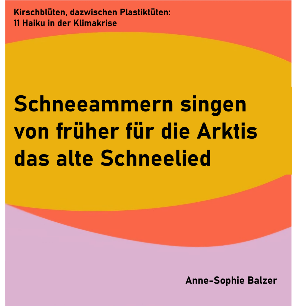 Kirschblüten, dazwischen Plastiktüten: 11 Haiku in der Klimakrise - Haiku 5
Schneeammern singen
von früher für die Arktis
das alte Schneelied
von Anne-Sophie Balzer