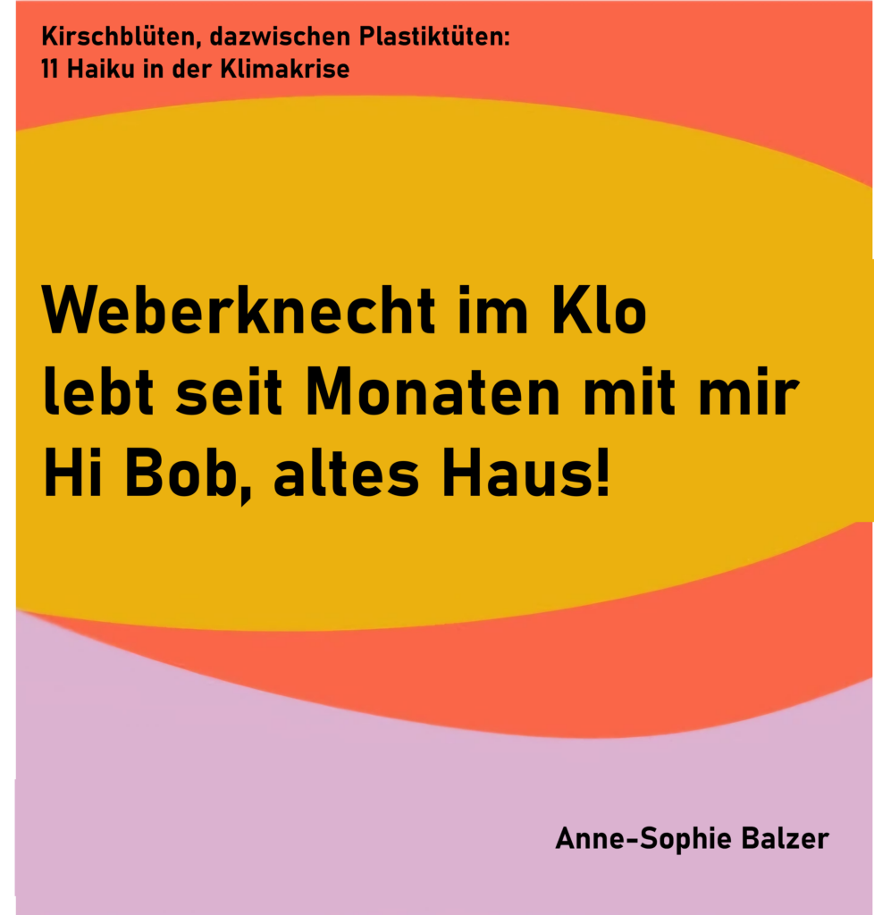 Kirschblüten, dazwischen Plastiktüten: 11 Haiku in der Klimakrise - Haiku 8
Weberknecht im Klo
lebt seit Monaten mit mir
Hi Bob, altes Haus!
von Anne-Sophie Balzer
