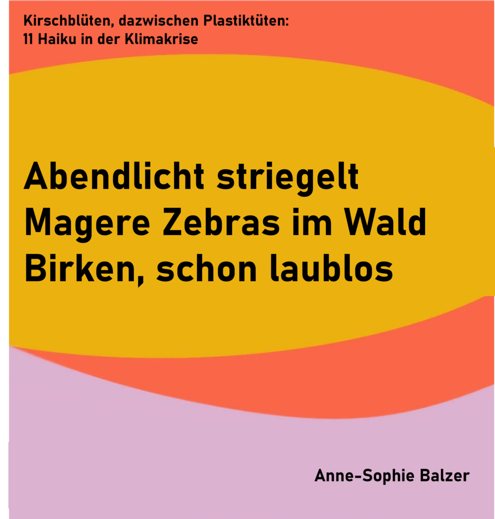 Kirschblüten, dazwischen Plastiktüten: 11 Haiku in der Klimakrise - Haiku 1
Abendlicht striegelt
Magere Zebras im Wald
Birken, schon laublos
von Anne-Sophie Balzer